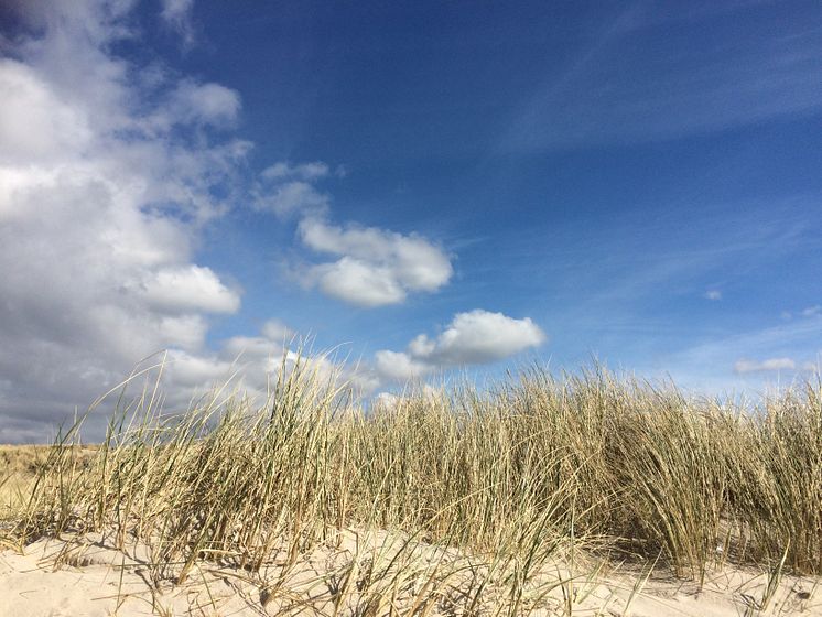 Ostsee genießen in den Maritim Hotels