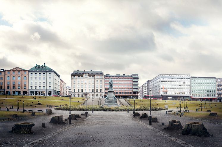 Humlegården i Stockholm blir kalhygge