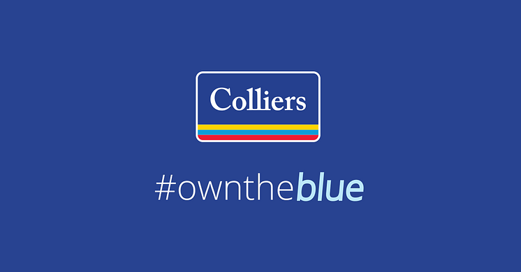 OwnTheBlue_Li-Fb-Twitter (1).png