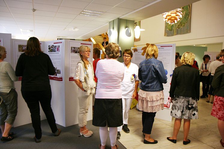 Centralsjukhuset Kristianstad 40 år - utställnining