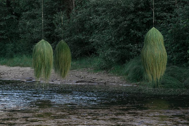 Anastasia Savinova, Waterwalk Encounters / River Songs, 2022