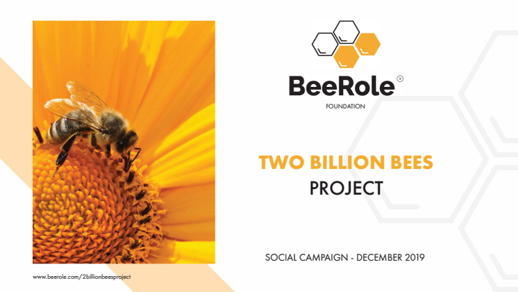 2 Billion Bees in 2020 