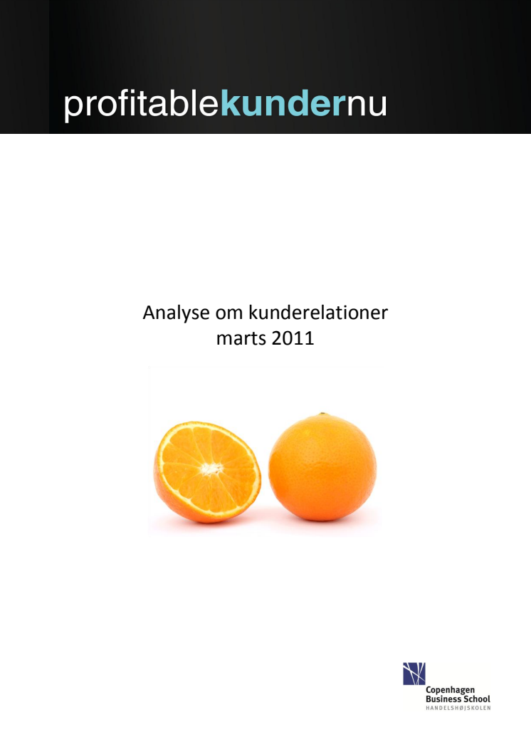Profitable kunder nu - Analyse om kunderelationer 2011