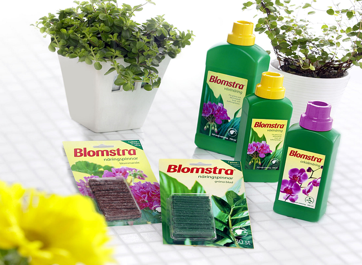 Blomstra_kitchen.png