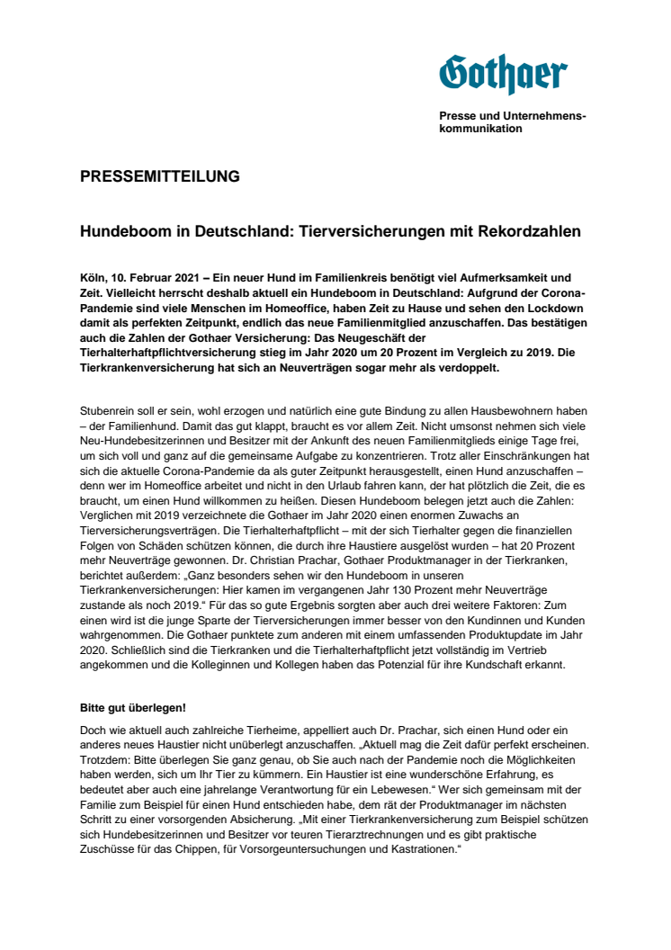 Hundeboom in Deutschland: Tierversicherungen mit Rekordzahlen