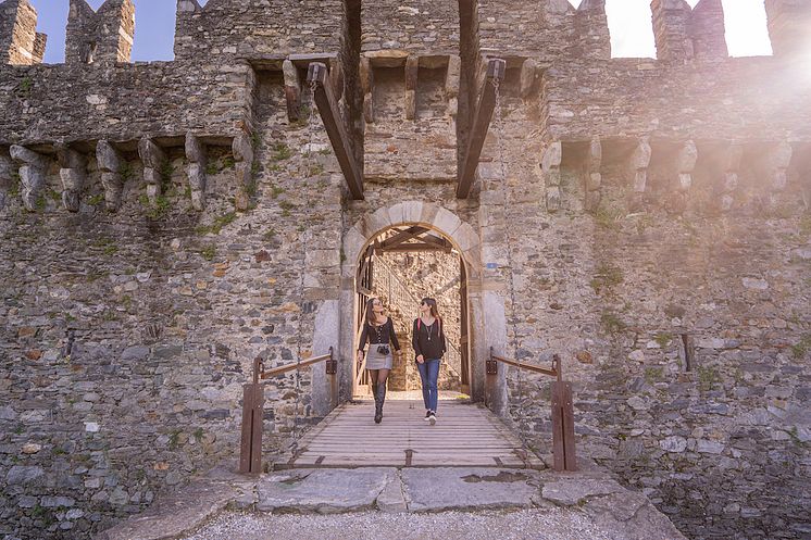 bellinzona_copyright_parisiva (7)