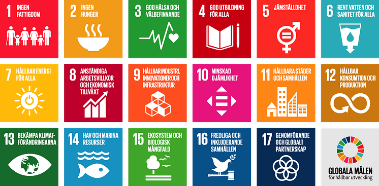 FNs 17 globala mål