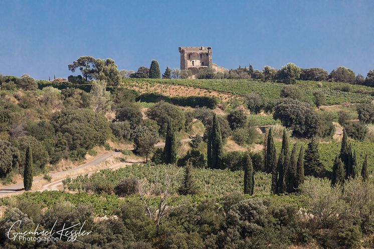 Landskapsbild - Chateauneuf du Pape