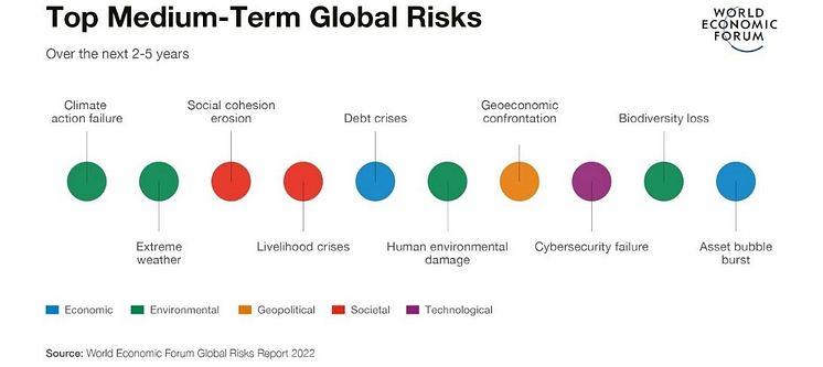 Top_Medium_Term_Global_Risks.jpg
