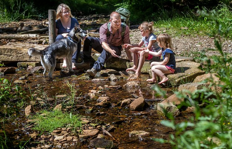 Wander_Wald_Familie_Geyer_28_Foto_TVE_Uwe Meinhold