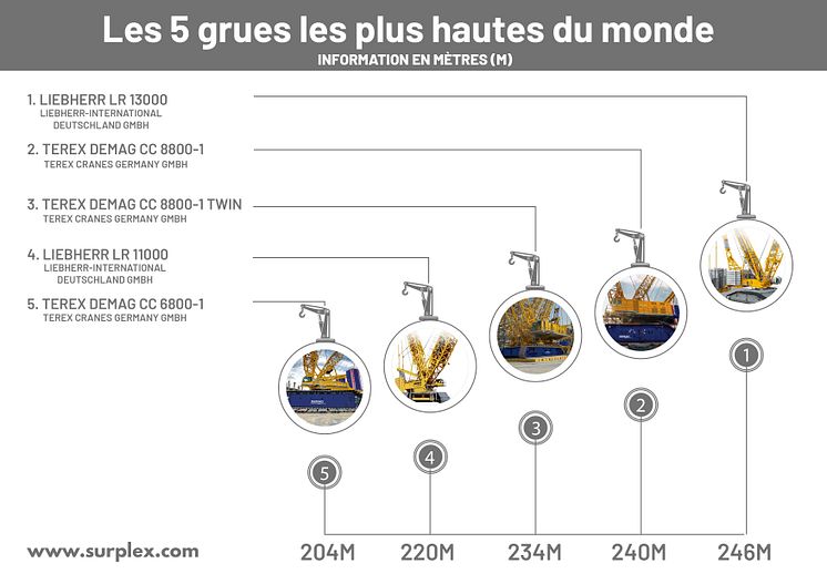 Les 5 grues les plus hautes du monde