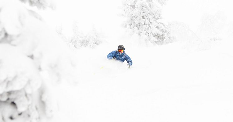 Puddersnø Trysil
