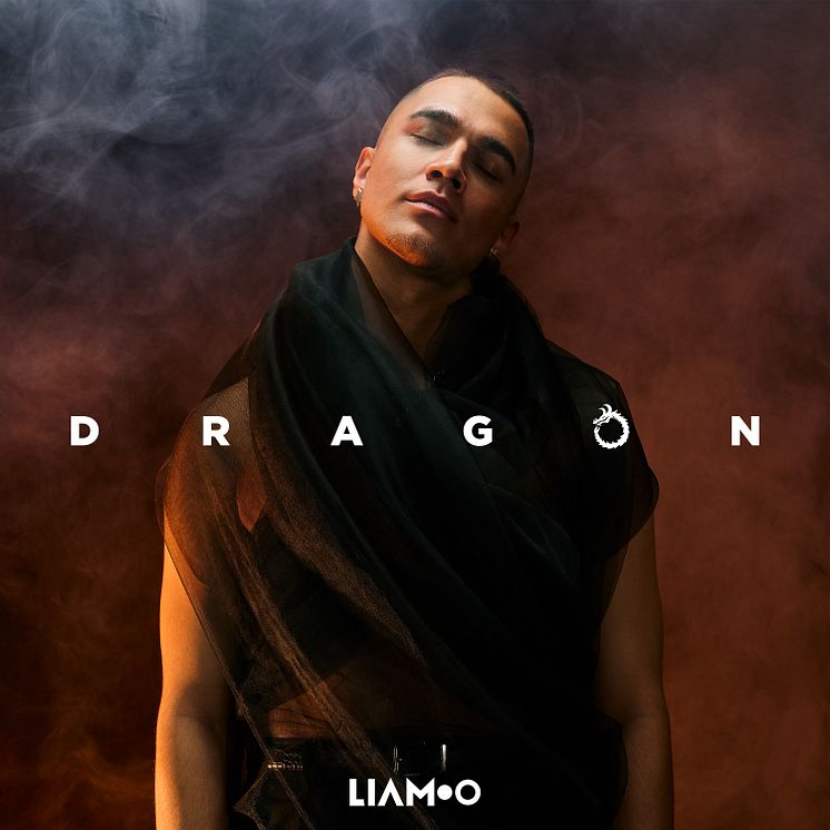 LIAMOO Dragon Cover