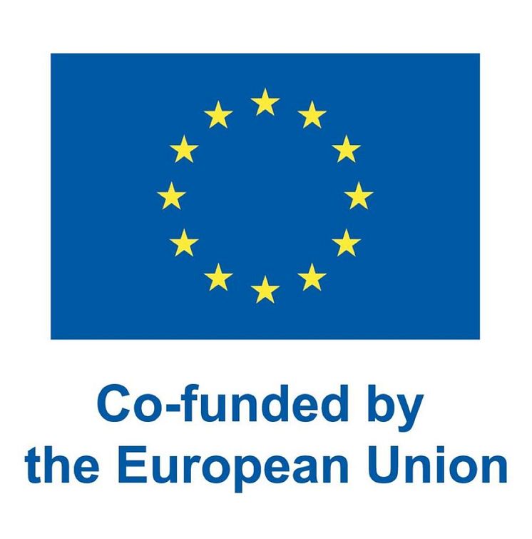 EN V Co-funded by the EU_POS.jpg