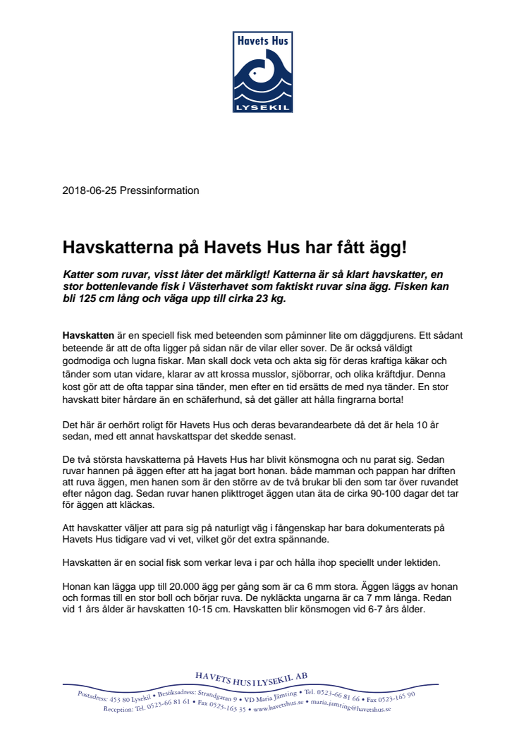 Havskatterna på Havets Hus har fått ägg!