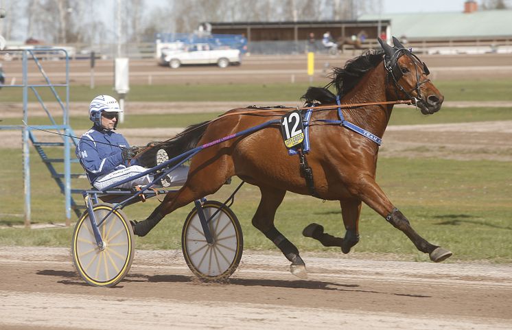 Håll ögonen på Comte du Pommeau och Peter G Norman när det nalkas upplopp i Sommartravets final från Rättvik. 