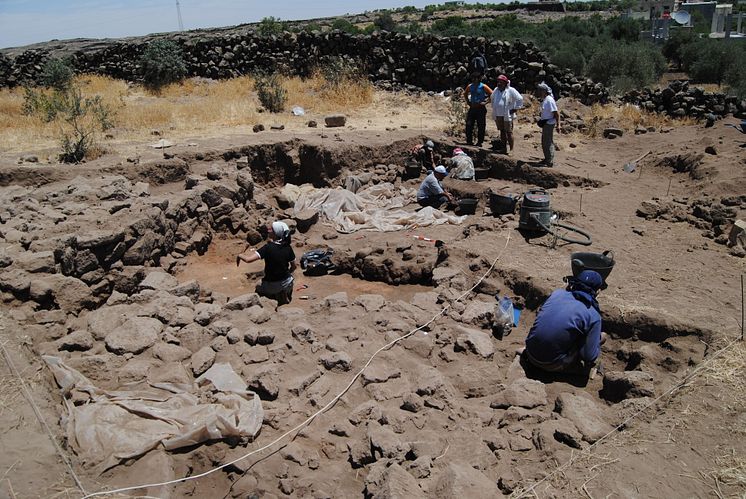 Excavation at Tell Qarassa