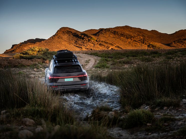 Audi Q8 e-tron edition Dakar