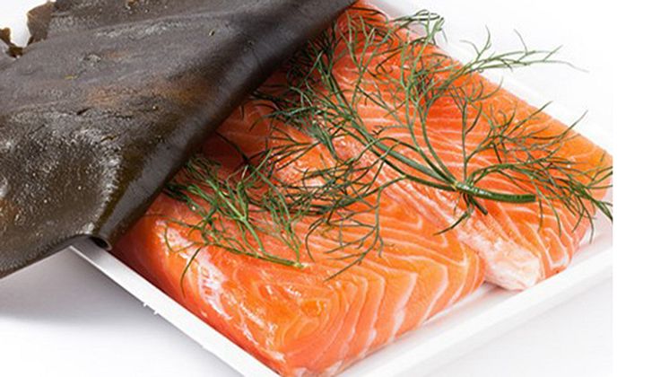 Aged salmon fra Sør-Korea