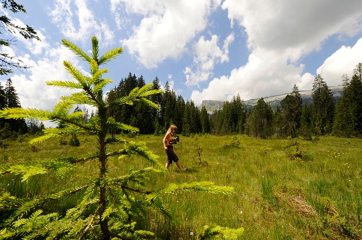 MoorlandschaftUNESCOBiosphaereEntlebuch(c)UNESCOBiosphaereEntlebuch_ChristianPerret  