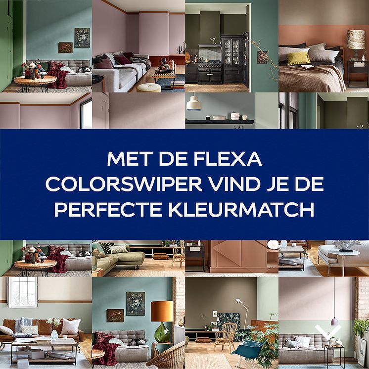 Flexa_ColorSwiper_THINK_StaticLinkAd