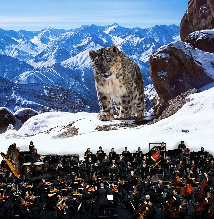 SnowLeopard_Orchestra
