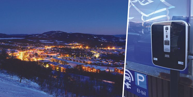 Pressebilde_hotellsak_Defa