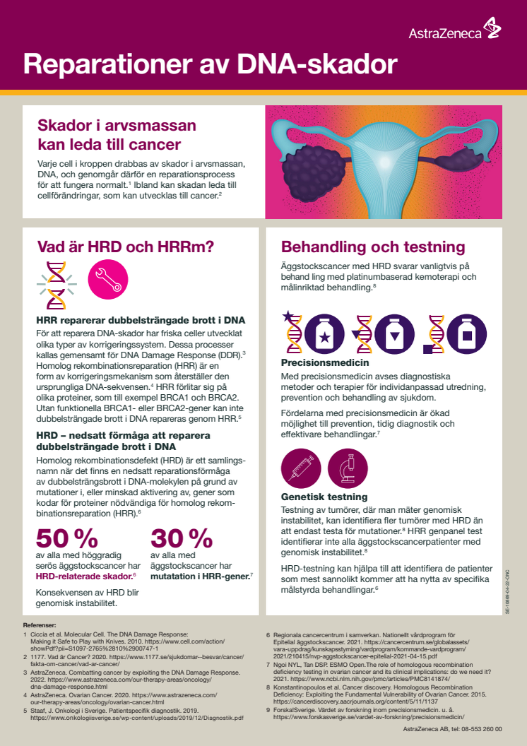 Äggstockscancer infografik: Reparationer av DNA-skador (Webb)