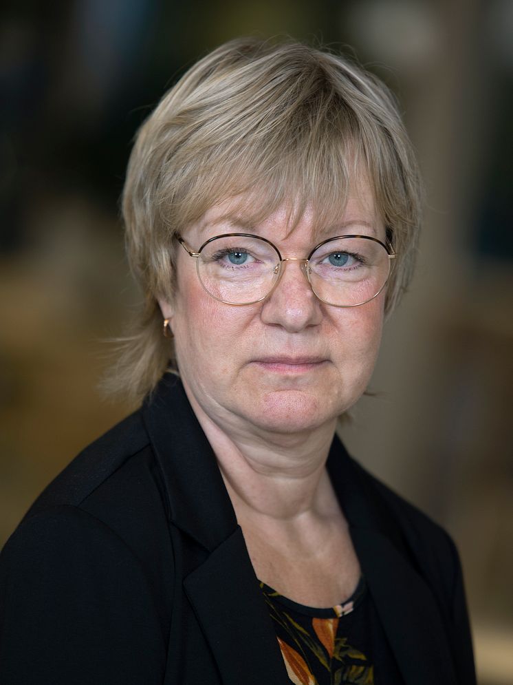 Lena Niemi Hjulfors