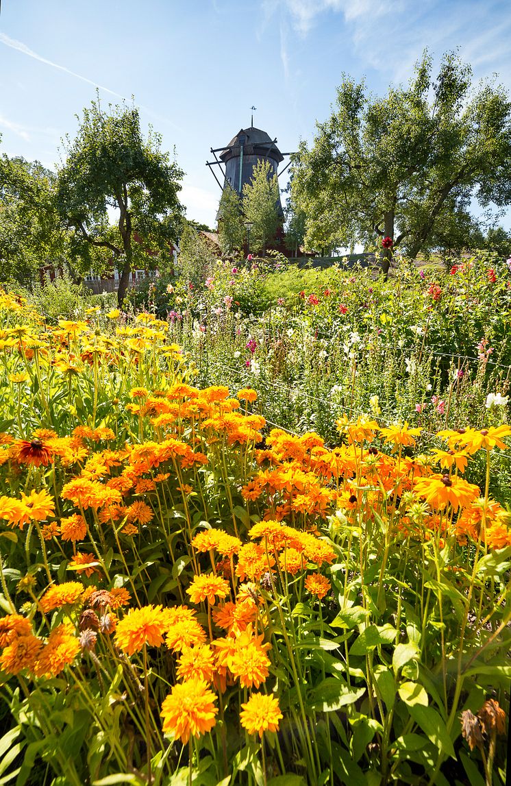 Trädgården på Waldemarsudde