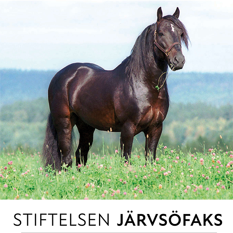 Stiftelsen Järvsöfaks