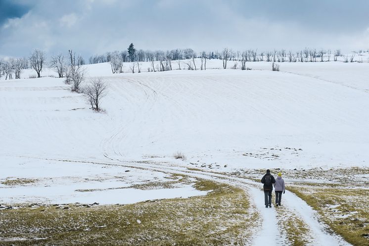 Osterzgebirge_Foto_Lukas Häuser_IMG_8846