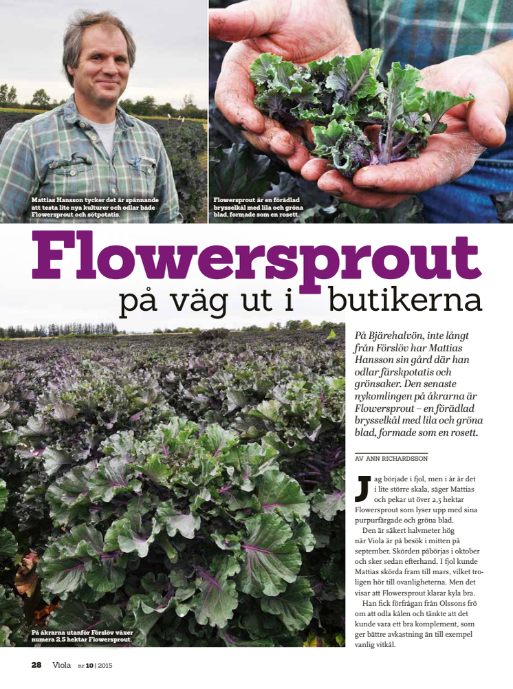Flower sproutssäsongen drar igång!