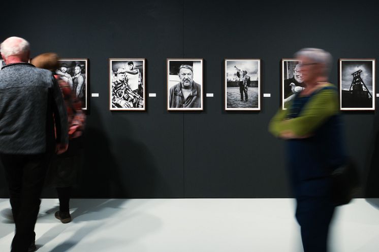 Purple Path_Oelsnitz_Brönner_Ausstellungsansicht Melting Pott_Foto_Mark Frost2.jpg