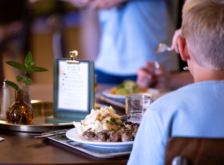 Köttbullar med redigt potatismos