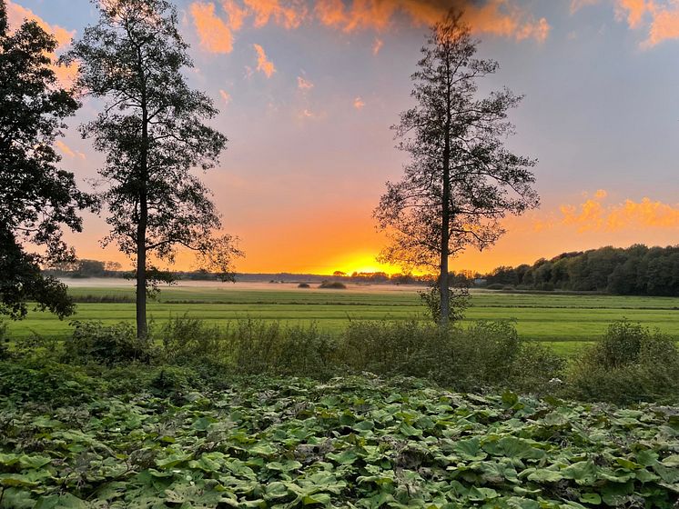 Sonnenuntergang_Itzehoe_©Lars Büttner.jpg