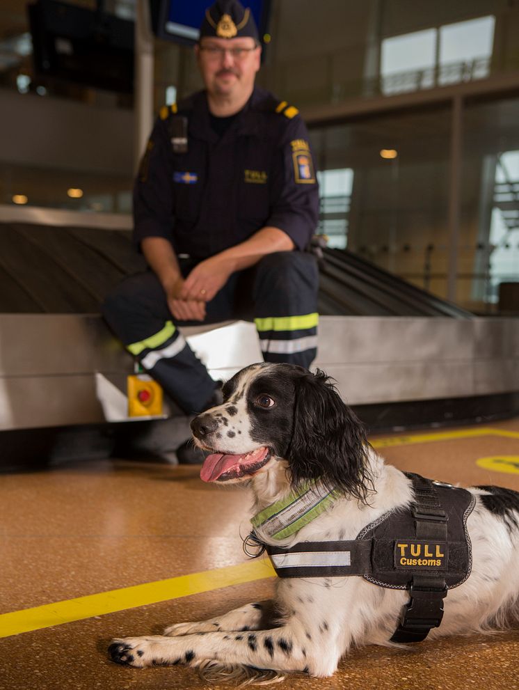 Schack är Årets narkotikasökhund