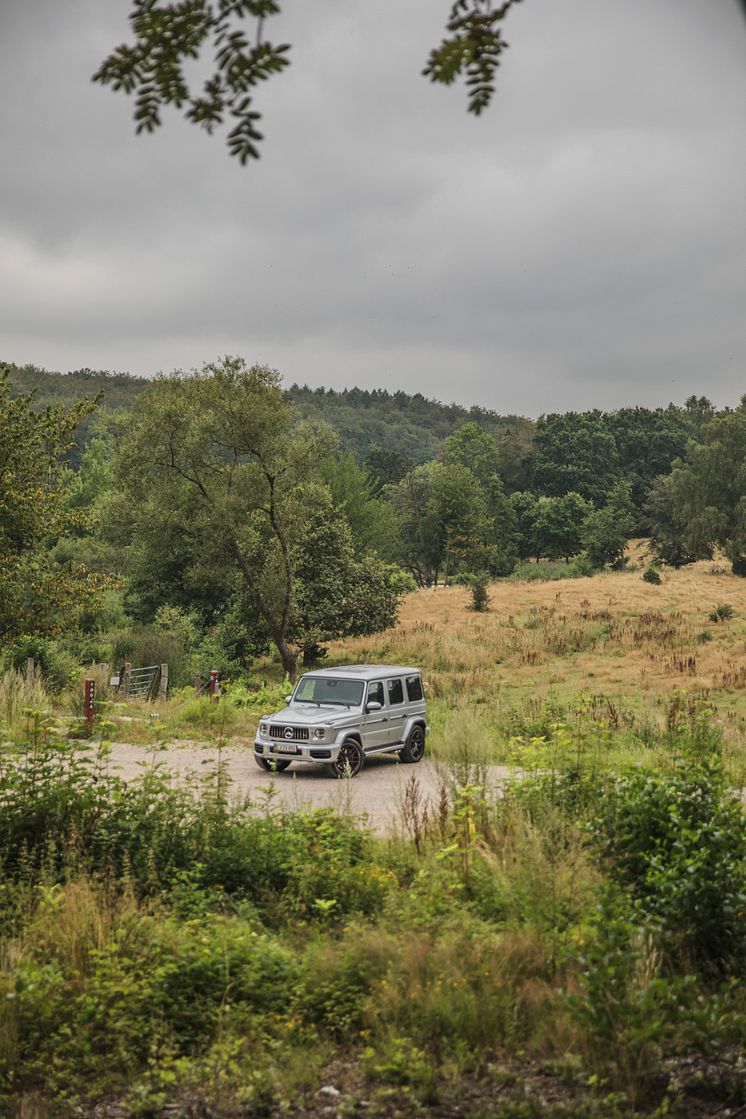 Mercedes-AMG G 63