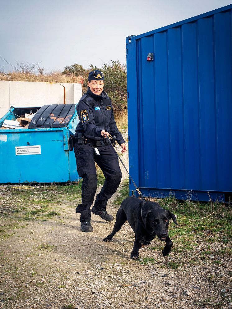 Årets narkotikasökhund 2019