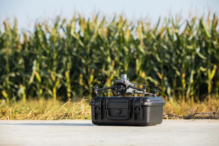 DJI_M3M 5.jpg