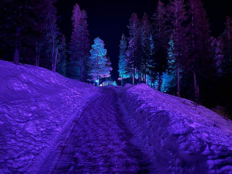 SkiStar IGLOO-Glamping