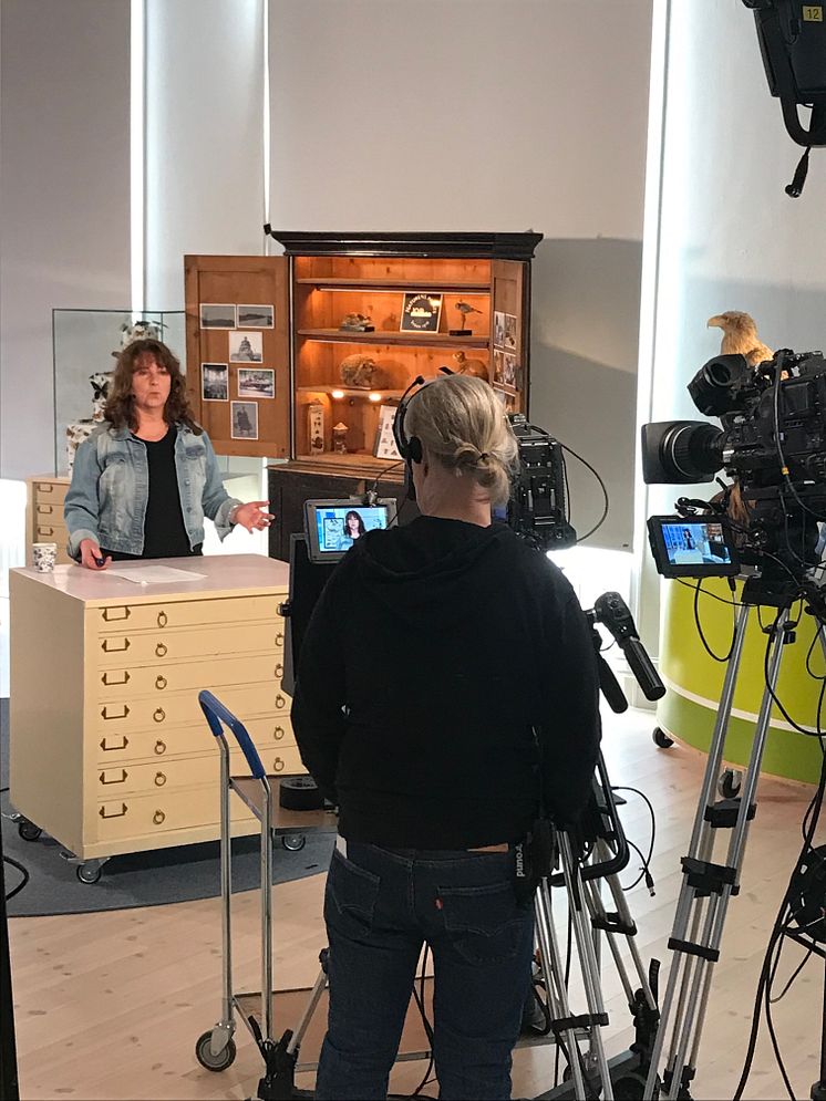 Forskare Vivi Vajda filmas