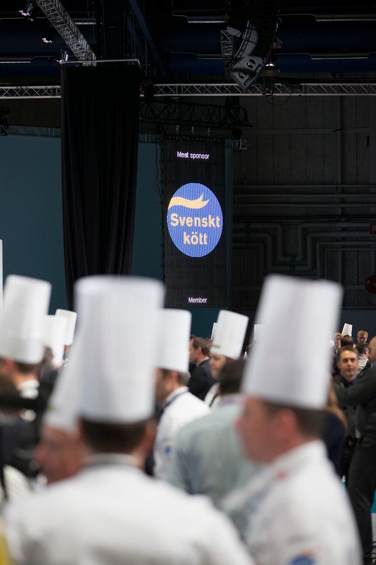 Bocuse d'Or Europe, Svenskt kött