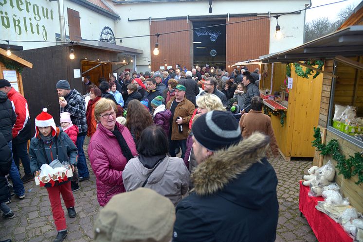 Weihnachten im Stall auf dem Klostergut Mößlitz: Bärenherz erhält erneut großartige Spende