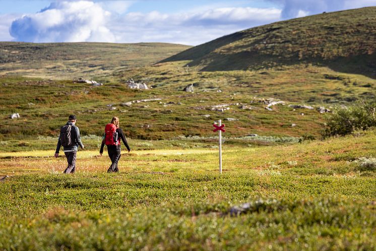 Vandring i Ramundberget