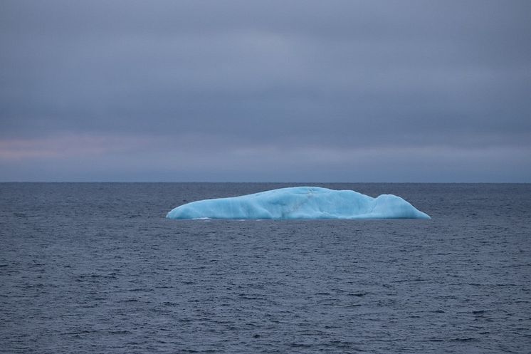 Iceberg in St. Anna