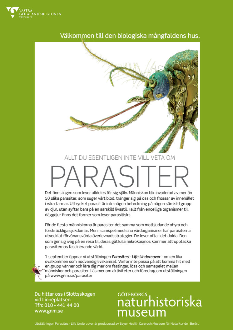 Parasiter på Göteborgs Naturhistoriska Museum.