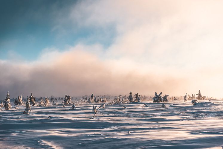 Sälen snö januari 2021