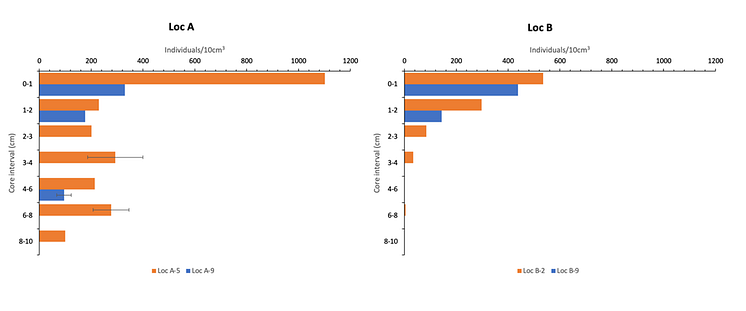 Marine litter data