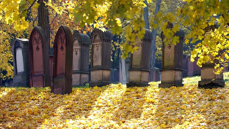 Mainz: 'Judensand' Europas ældste jødiske kirkegård